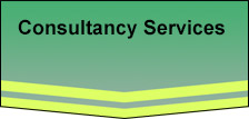 General Consultancy Services