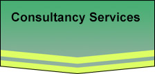 General Consultancy Services